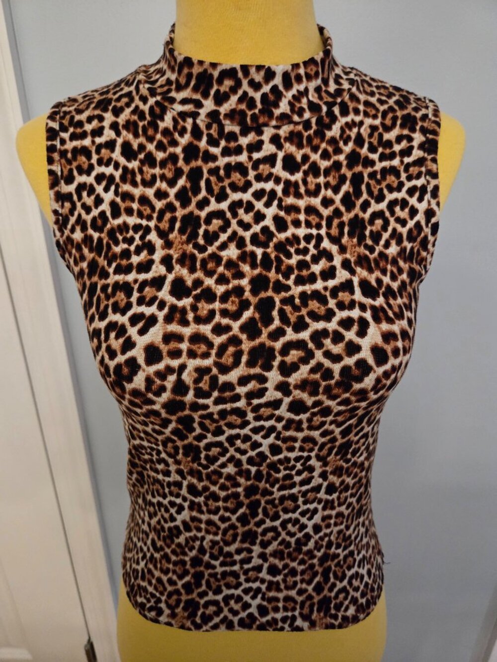 Derek Heat Leopard Print Crop Top